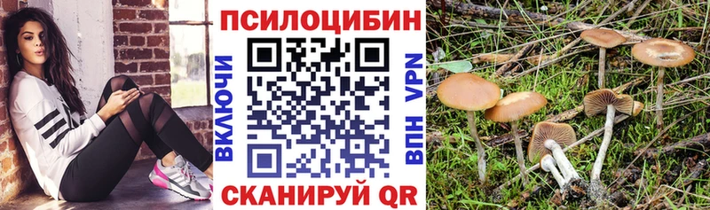 Галлюциногенные грибы Cubensis Олёкминск